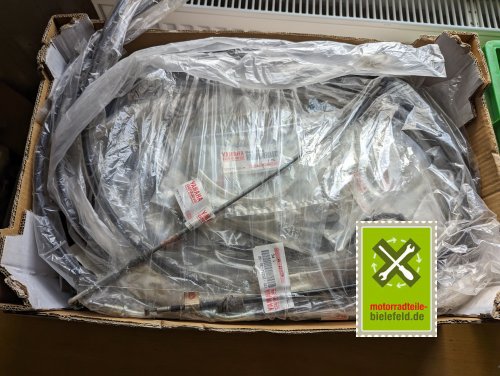 PXL_20240510_150333683